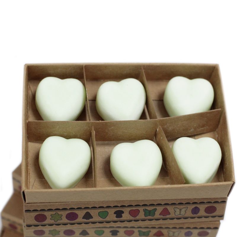 Box of 6 packs Wax Melts - Apple Spice