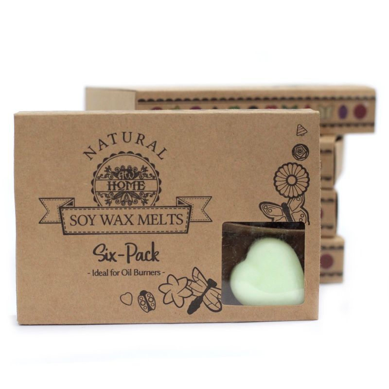 Box of 6 packs Wax Melts - Apple Spice