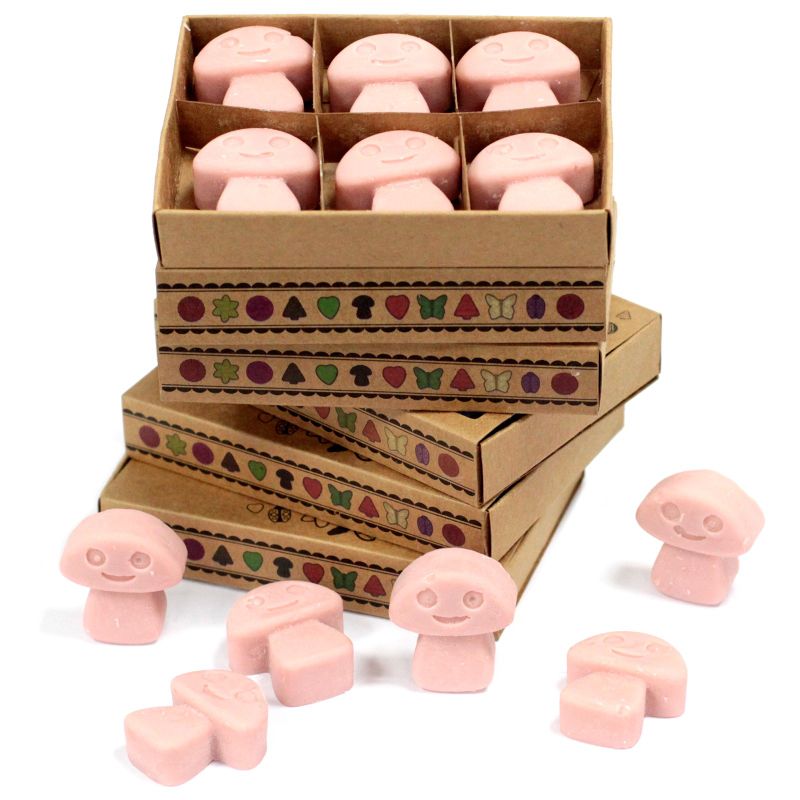 Box of 6 packs Wax Melts - Coffee Trader
