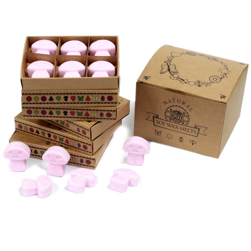 Box of 6 packs Wax Melts - Ylang Ylang