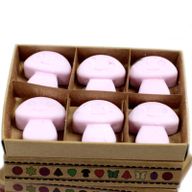 Box of 6 packs Wax Melts - Ylang Ylang