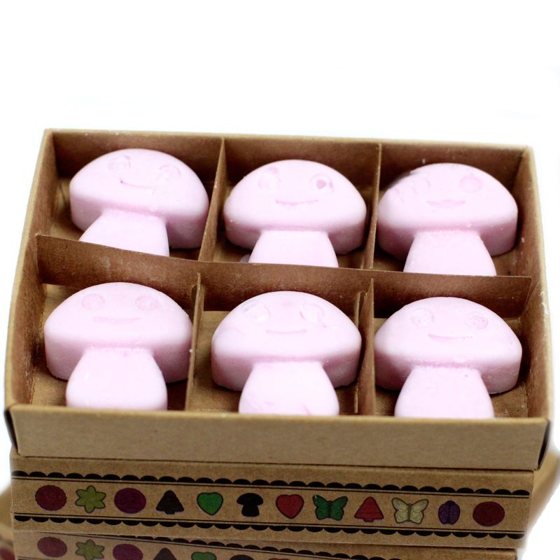 Box of 6 packs Wax Melts - Ylang Ylang
