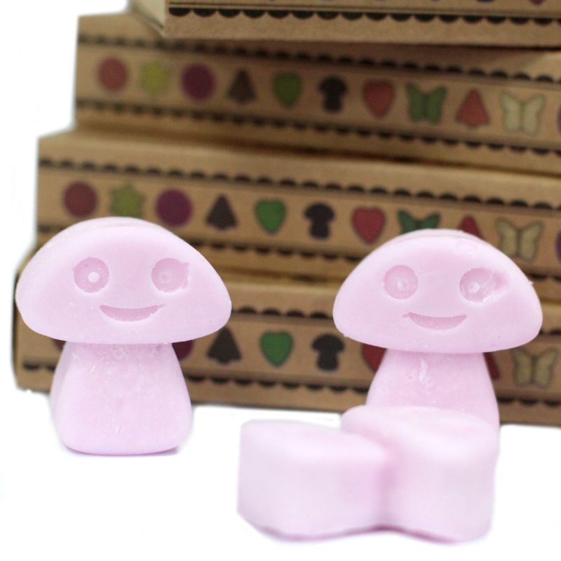 Box of 6 packs Wax Melts - Ylang Ylang