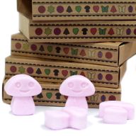 Box of 6 packs Wax Melts - Ylang Ylang