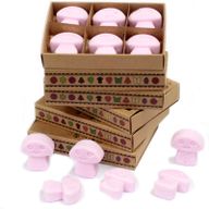 Box of 6 packs Wax Melts - Ylang Ylang