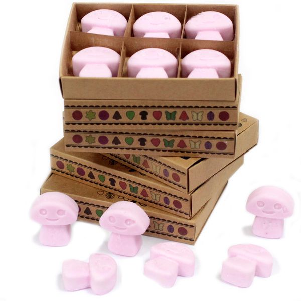 Box of 6 packs Wax Melts - Ylang Ylang