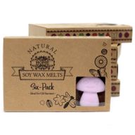 Box of 6 packs Wax Melts - Ylang Ylang