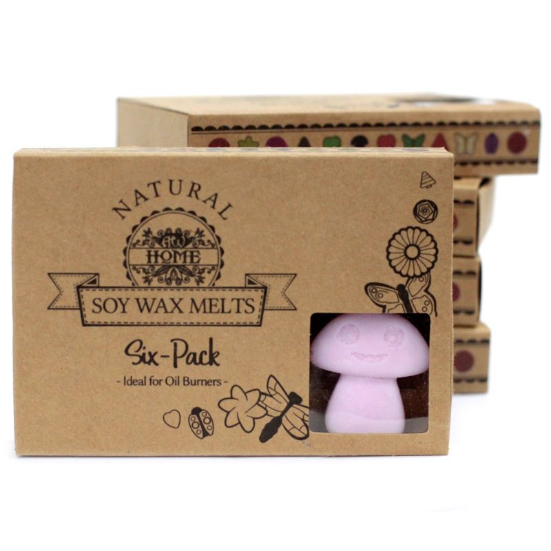 Box of 6 packs Wax Melts - Ylang Ylang