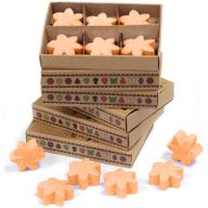 Box of 6 packs Wax Melts - Mango Fruits