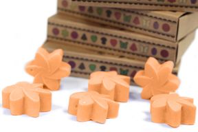 Box of 6 packs Wax Melts - Mango Fruits
