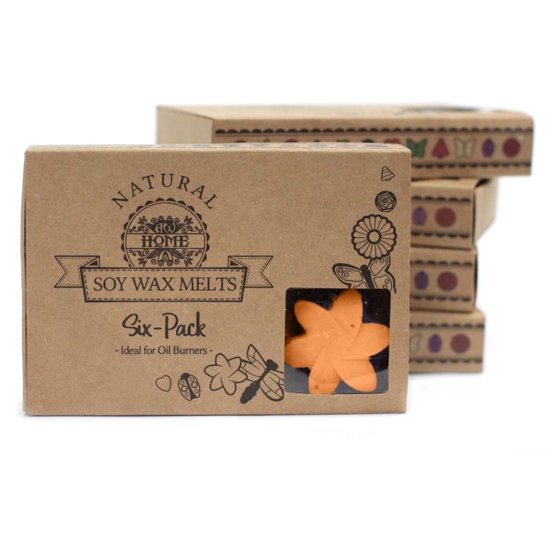 Box of 6 packs Wax Melts - Mango Fruits