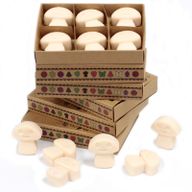 Box of 6 packs Wax Melts - Vanilla Nutmeg