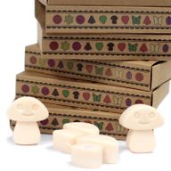 Box of 6 packs Wax Melts - Vanilla Nutmeg