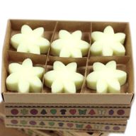Box of 6 packs Wax Melts - Lemon Harvest
