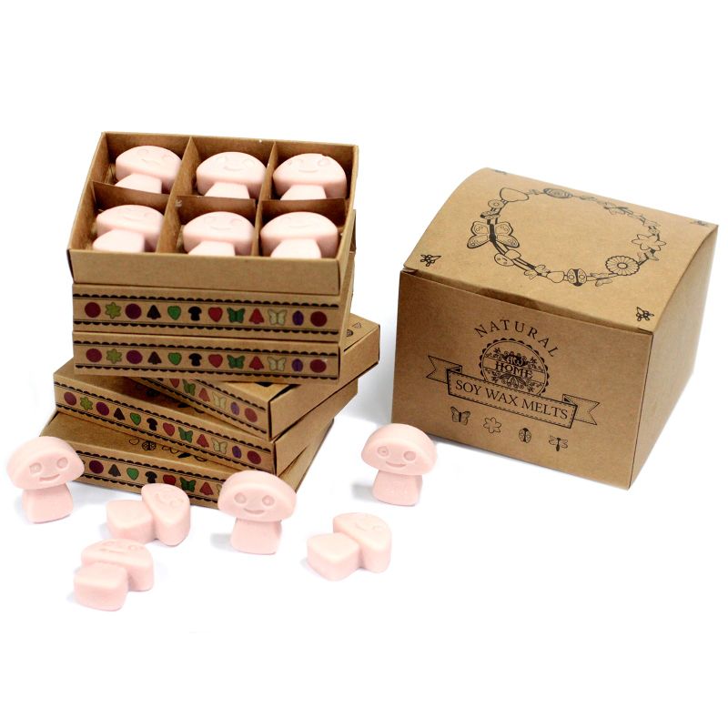 Box of 6 packs Wax Melts - Old Ginger