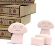 Box of 6 packs Wax Melts - Old Ginger