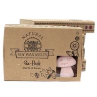 Box of 6 packs Wax Melts - Old Ginger