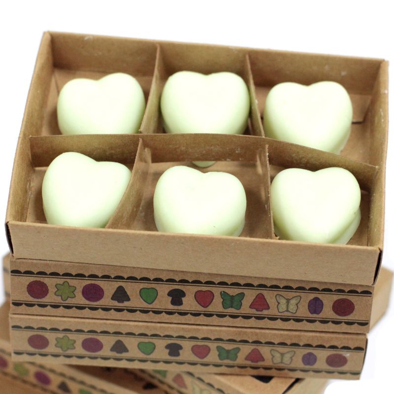 Box of 6 packs Wax Melts - Watermelon Fresh