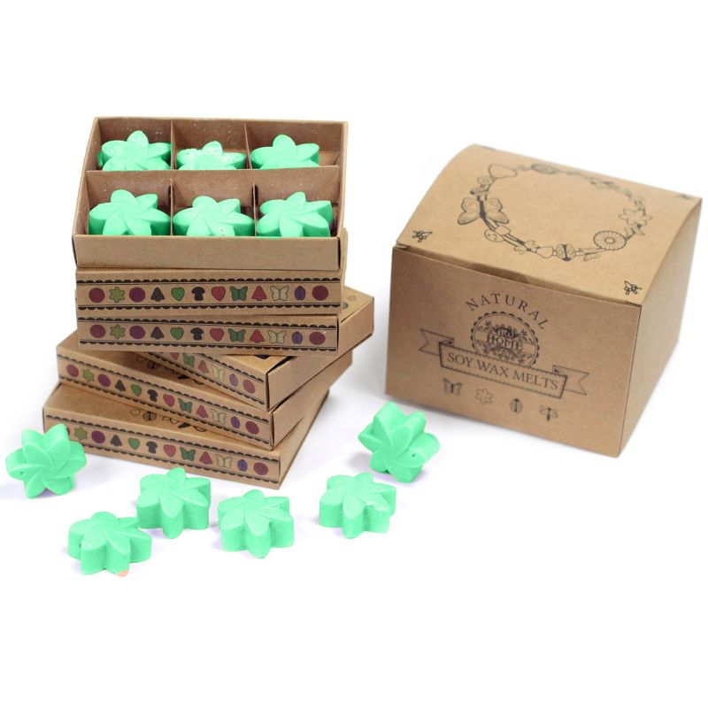 Box of 6 packs Wax Melts - Hidden Garden