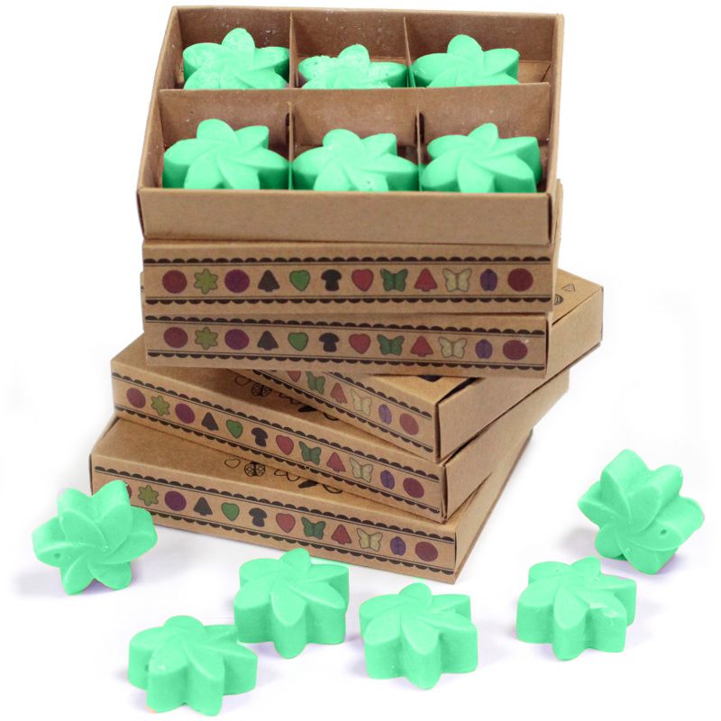 Box of 6 packs Wax Melts - Hidden Garden