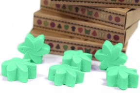 Box of 6 packs Wax Melts - Hidden Garden