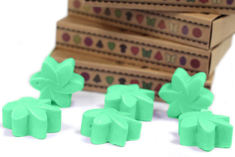 Box of 6 packs Wax Melts - Hidden Garden