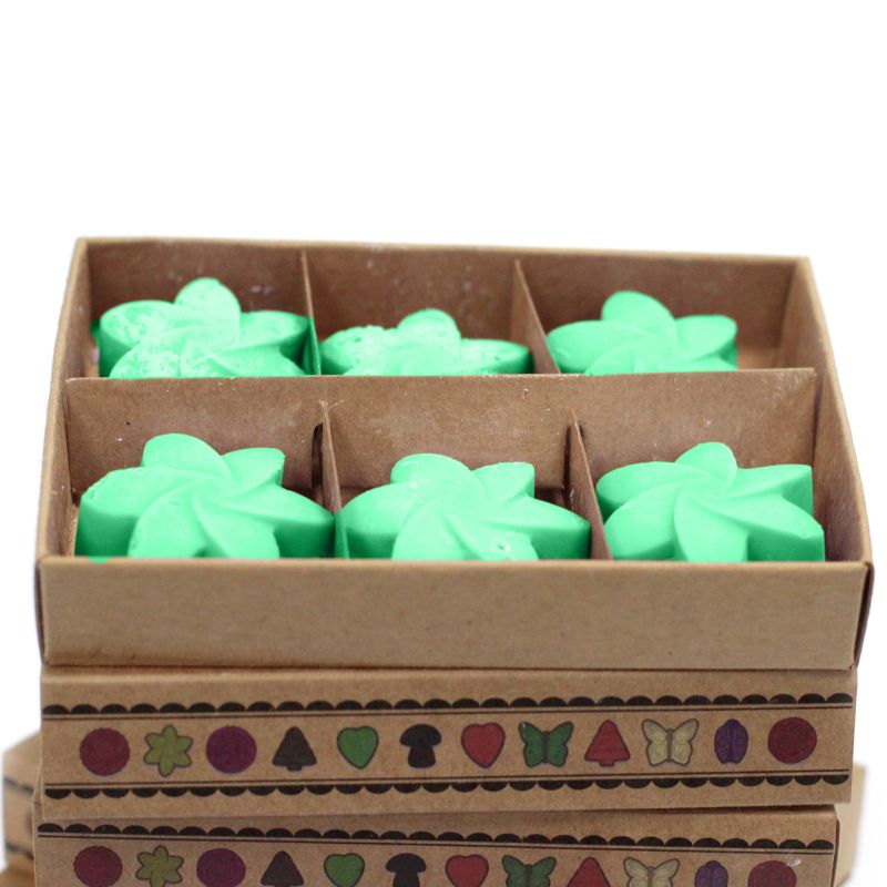 Box of 6 packs Wax Melts - Hidden Garden