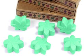 Box of 6 packs Wax Melts - Hidden Garden