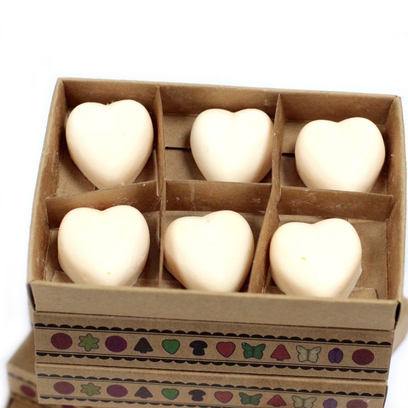 Box of 6 packs Wax Melts - Cinnamon & Orange