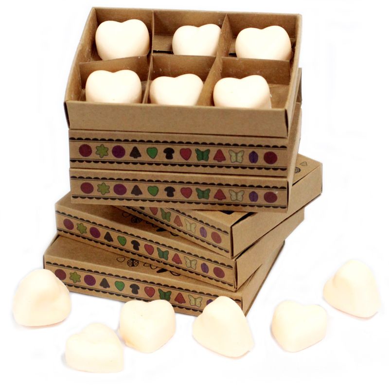 Box of 6 packs Wax Melts - Cinnamon & Orange