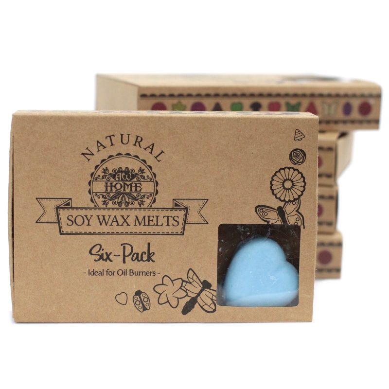 Box of 6 packs Wax Melts - Dewberry