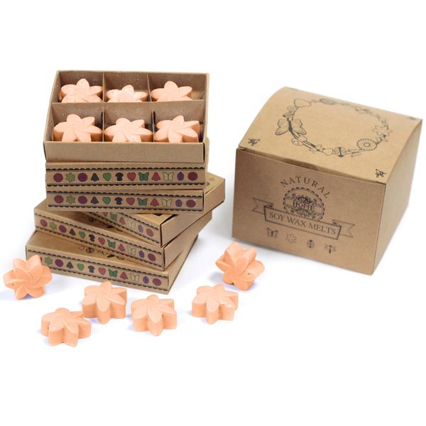 Box of 6 packs Wax Melts - Tuberose