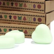 Box of 6 packs Wax Melts - Watermelon Fresh