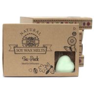 Box of 6 packs Wax Melts - Watermelon Fresh
