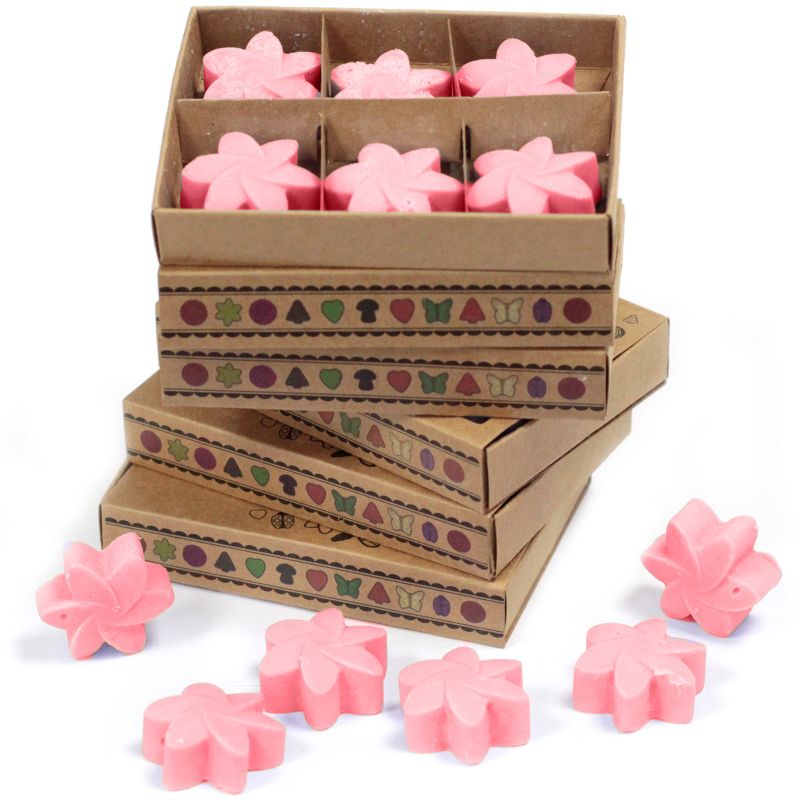 Box of 6 packs Wax Melts -  Japanese Magnolia