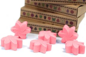 Box of 6 packs Wax Melts -  Japanese Magnolia