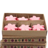 Box of 6 packs Wax Melts -  Japanese Magnolia