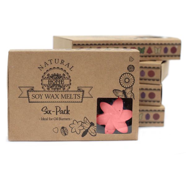Box of 6 packs Wax Melts -  Japanese Magnolia