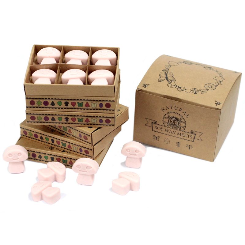 Box of 6 packs Wax Melts - Dark Sandalwood