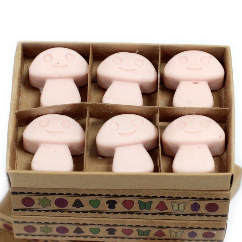 Box of 6 packs Wax Melts - Dark Sandalwood