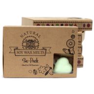 Box of 6 packs Wax Melts - Mint & Menthol