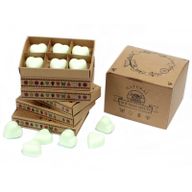 Box of 6 packs Wax Melts - Mint & Menthol