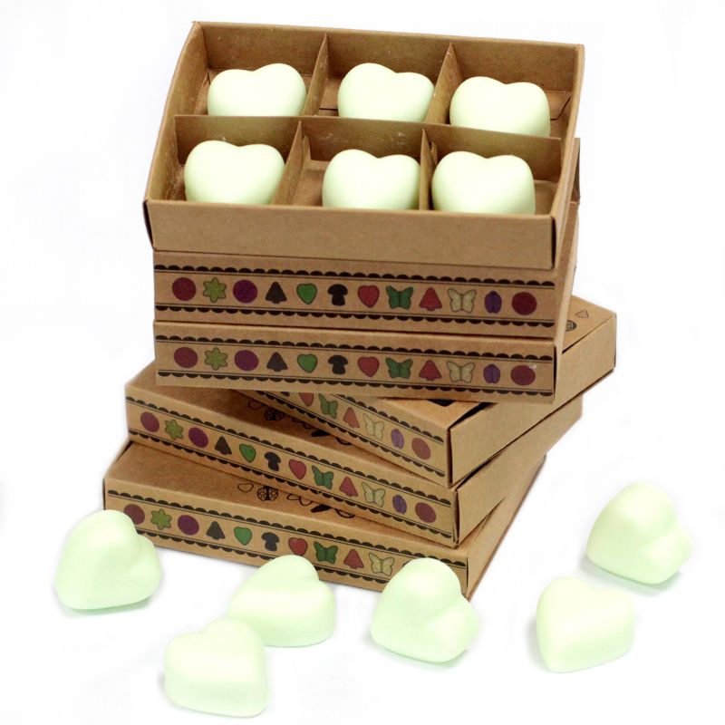 Box of 6 packs Wax Melts - Mint & Menthol