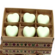 Box of 6 packs Wax Melts - Mint & Menthol