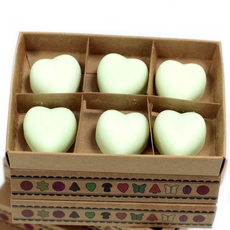 Box of 6 packs Wax Melts - Mint & Menthol