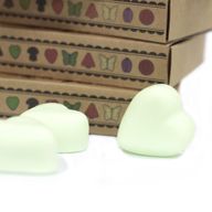Box of 6 packs Wax Melts - Mint & Menthol