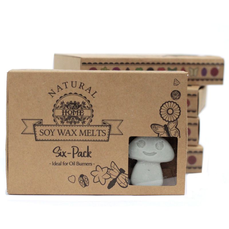 Box of 6 packs Wax Melts - Dark Patchouli
