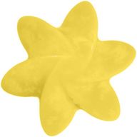 Natural Soy Wax Melts -Mango Fruits
