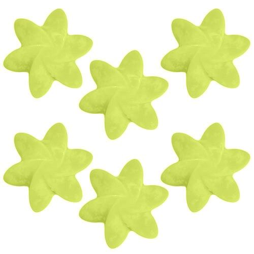 Box of Bulk Nat-Wax Melts - Lemon Harvest