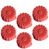 Box of Bulk Nat-Wax Melts - Watermelon Fresh